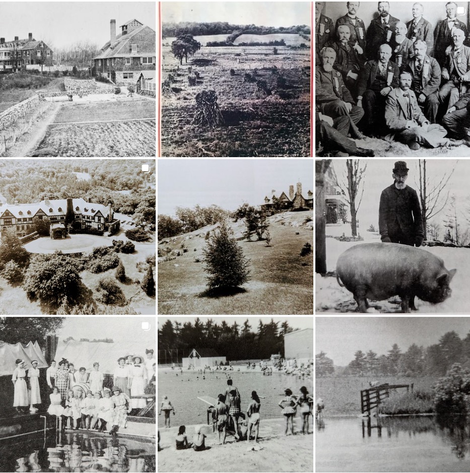 Collage of historical photos from WHS Instagram page.